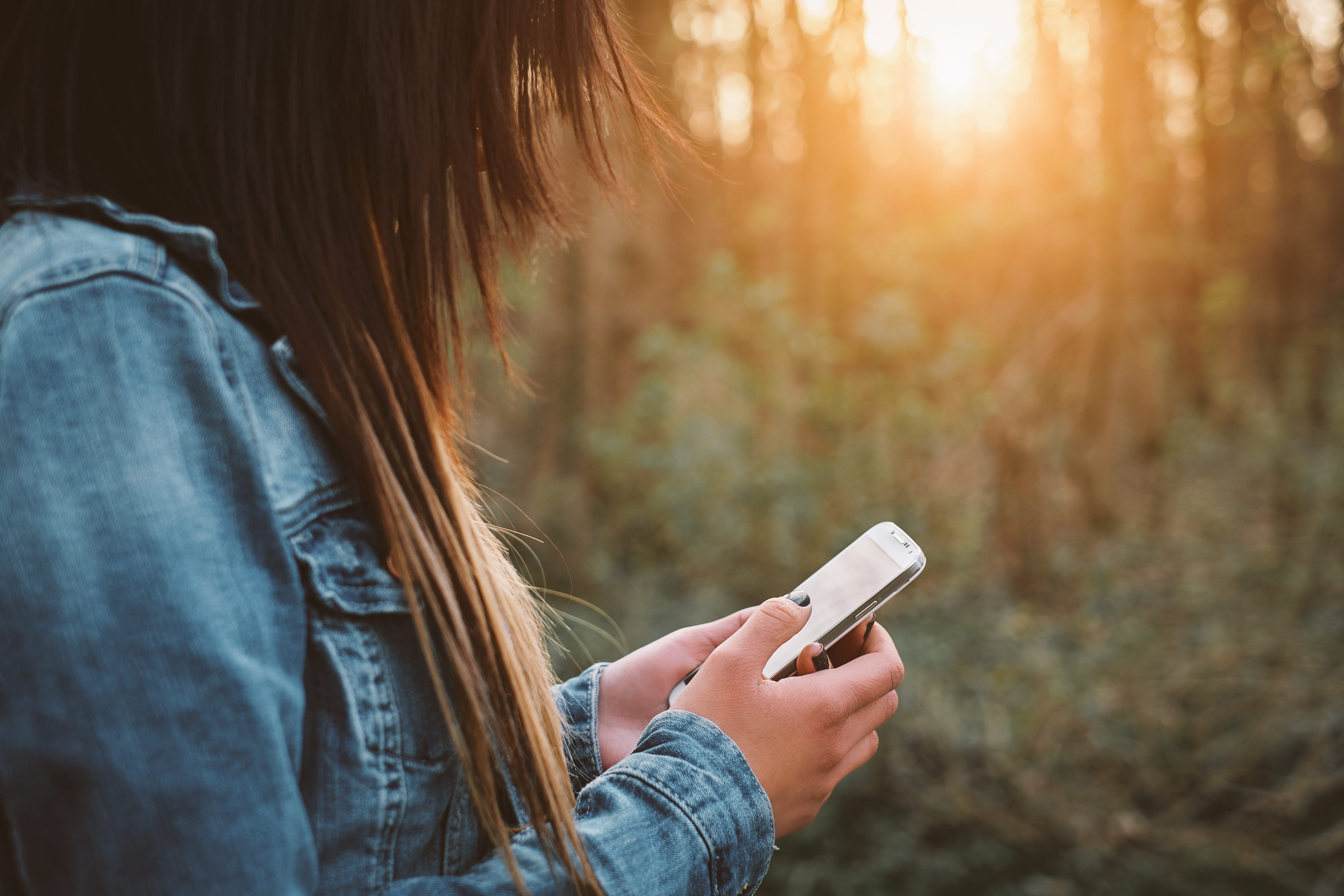 Adobestock 81767823