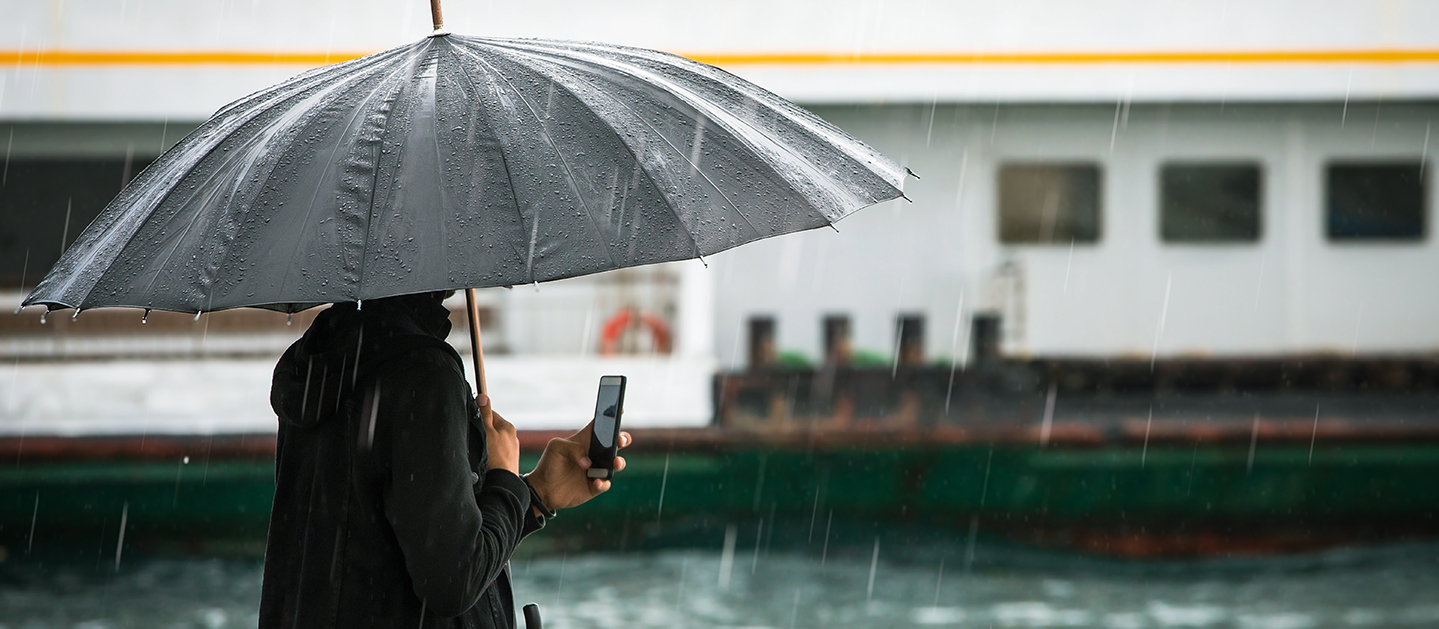 Person holding a phone under an umbrella
